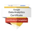 Insignia Google Data Analytics Professional Certificate